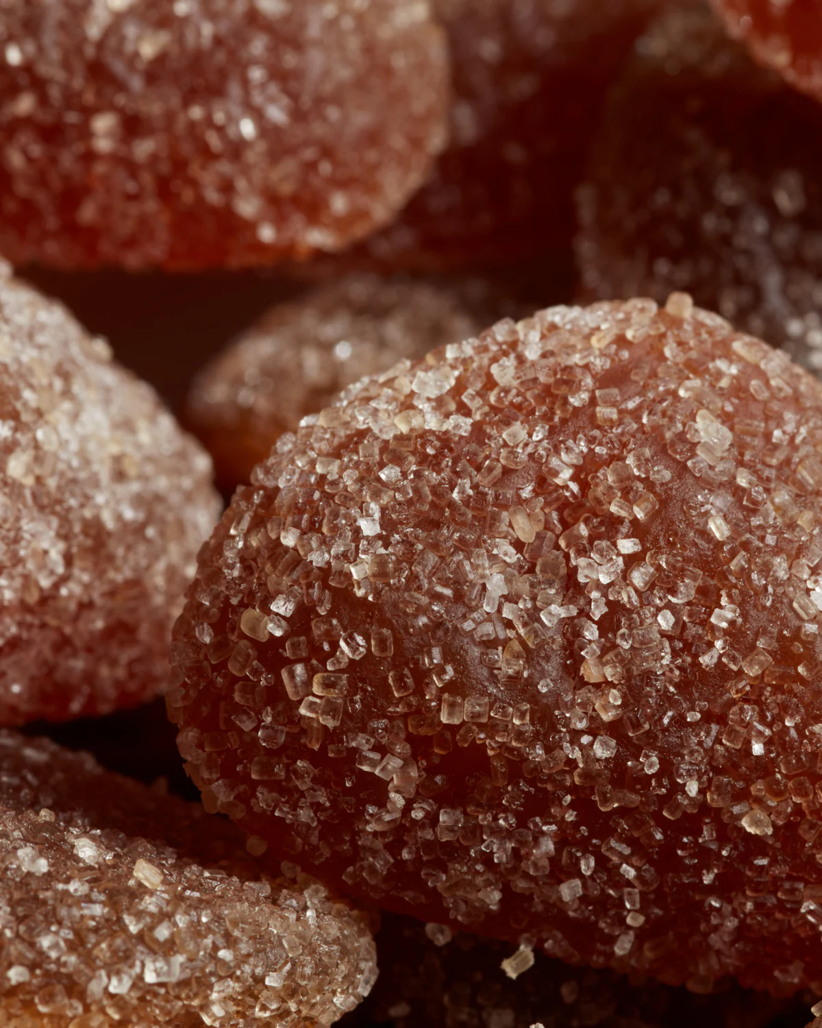 12 Tondini Gelée Gourmet assortite - Image 6